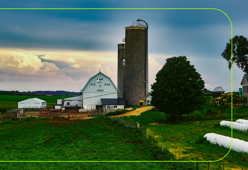 Como Comprar Fazenda Principais Cuidados E Recomenda Es Blog